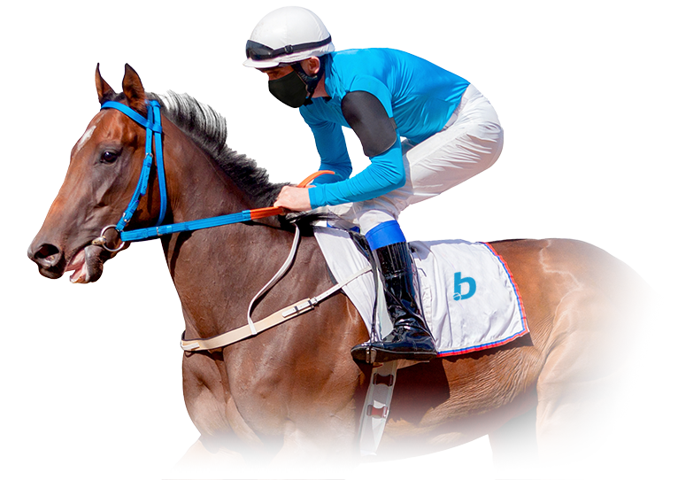 Reembolso Diario Carreras de Caballos